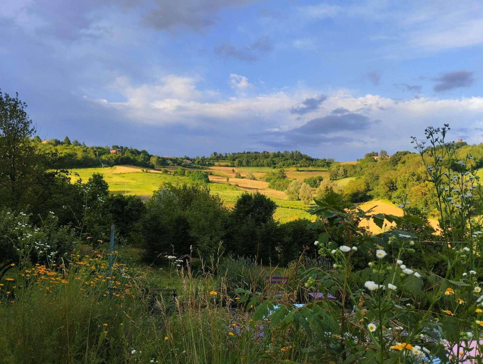I Conti Della Serva Cinzano Exterior foto