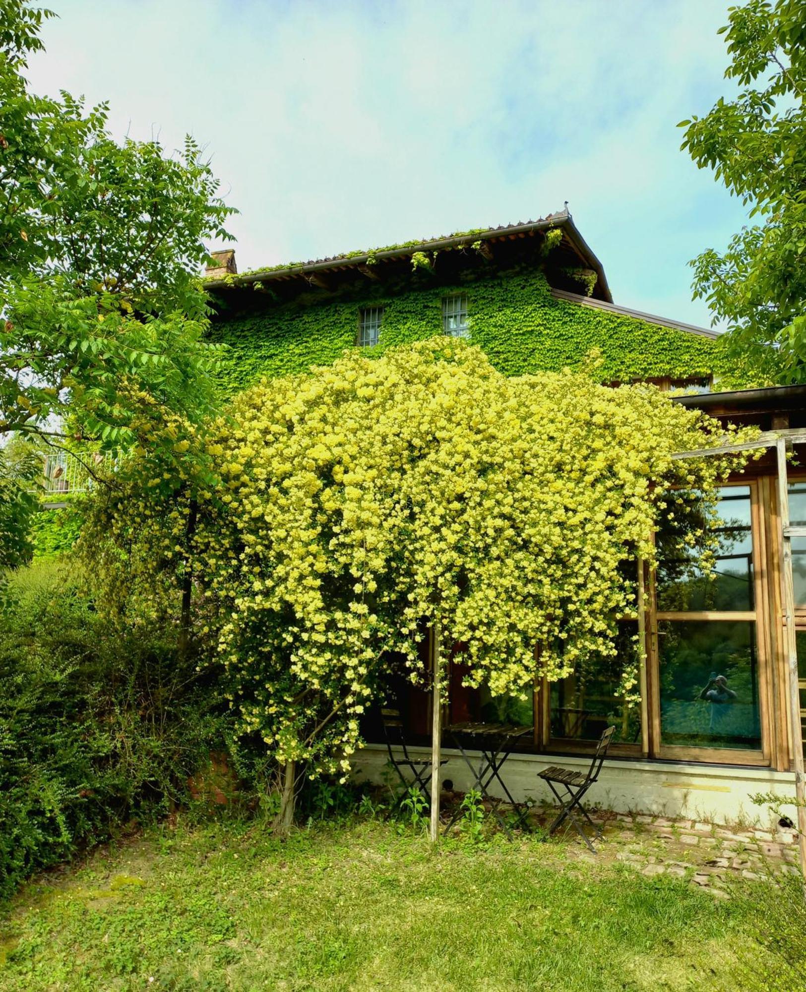 I Conti Della Serva Cinzano Exterior foto